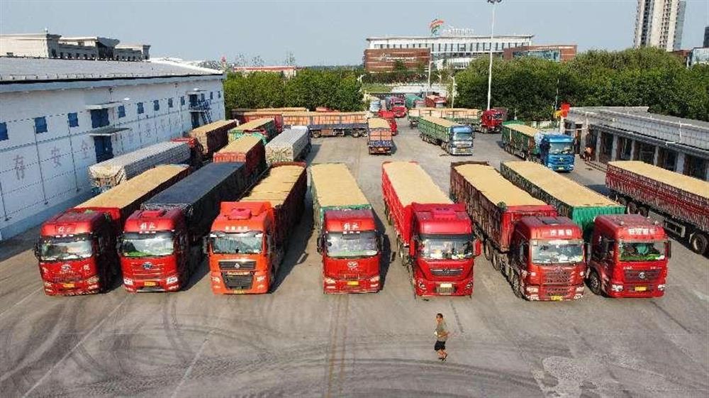 济粮团体顺遂实现2023年度市级储蓄粮 轮换任务